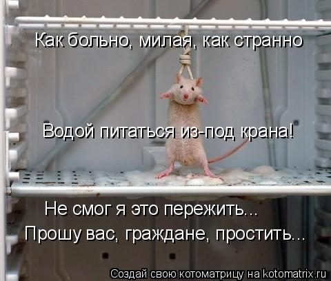Как больно, милая, как странно Водой питаться из-под крана! Не смог я это пережить... Прошу вас, гра... Котоматрица: Как больно, милая, как странно Водой питаться из-под крана! Не смог я это пережить... Прошу вас, граждане, простить...