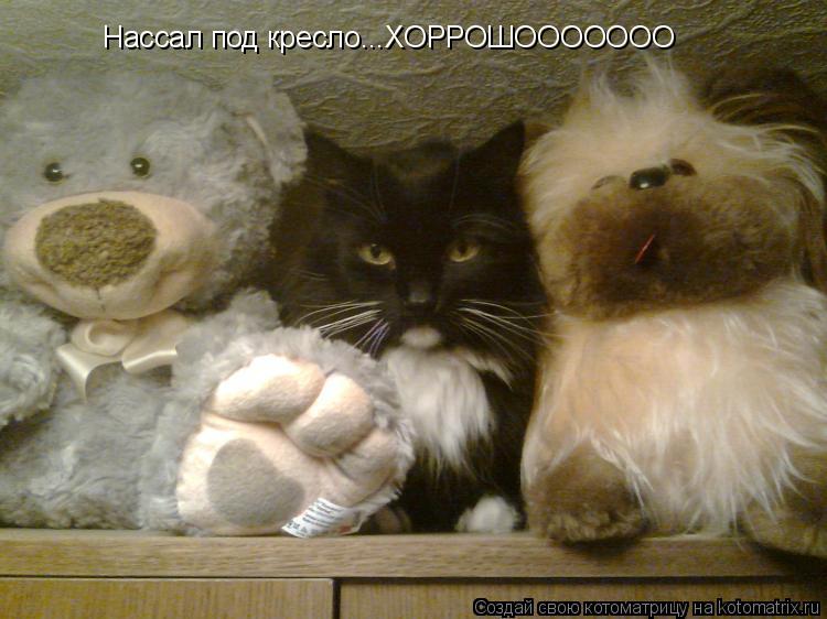Нассал под кресло...ХОРРОШООООООО... Котоматрица: Нассал под кресло...ХОРРОШООООООО