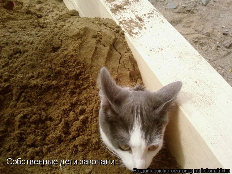 Собственные дети закопали... Котоматрица: Собственные дети закопали