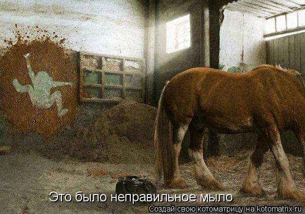 Это было неправильное мыло... Котоматрица: Это было неправильное мыло