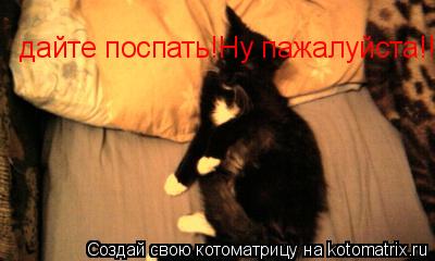 дайте поспать!Ну пажалуйста!!!... Котоматрица: дайте поспать!Ну пажалуйста!!!