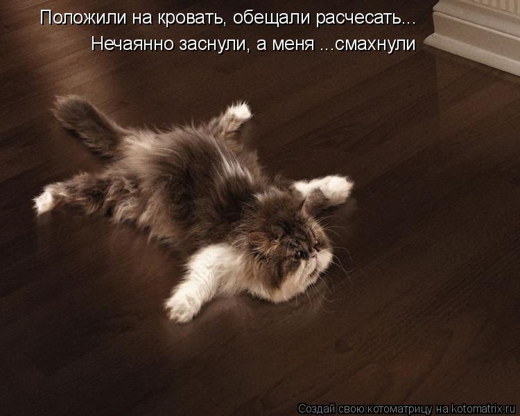Положили на кровать, обещали расчесать... Нечаянно заснули, а меня ...смахнули... Котоматрица: Положили на кровать, обещали расчесать... Нечаянно заснули, а меня ...смахнули