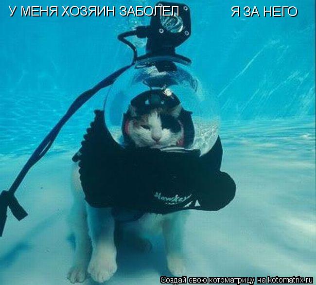 У МЕНЯ ХОЗЯИН ЗАБОЛЕЛ У МЕНЯ ХОЗЯИН ЗАБОЛЕЛ Я ЗА НЕГО... Котоматрица: У МЕНЯ ХОЗЯИН ЗАБОЛЕЛ У МЕНЯ ХОЗЯИН ЗАБОЛЕЛ Я ЗА НЕГО