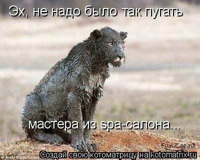 Эх, не надо было мастера из spa-салона... так пугать... Котоматрица: Эх, не надо было мастера из spa-салона... так пугать