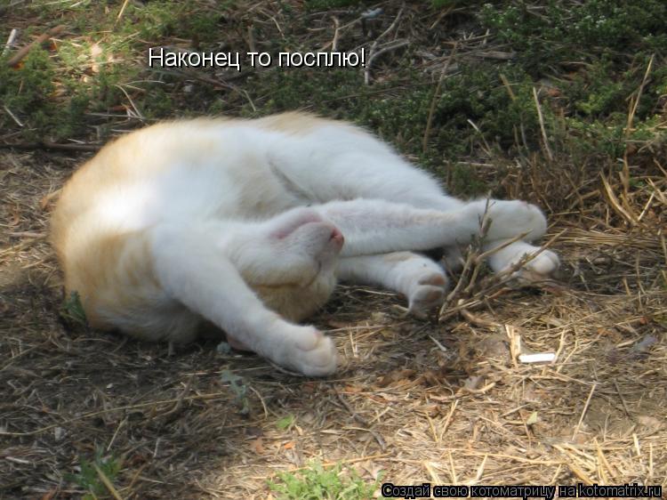 Наконец то посплю!... Котоматрица: Наконец то посплю!