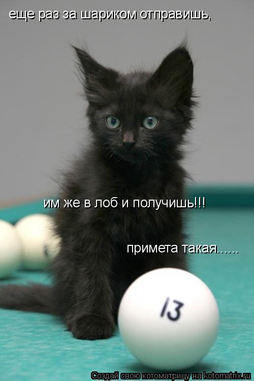 еще раз за шариком отправишь, им же в лоб и получишь!!! примета такая......... Котоматрица: еще раз за шариком отправишь, им же в лоб и получишь!!! примета такая......