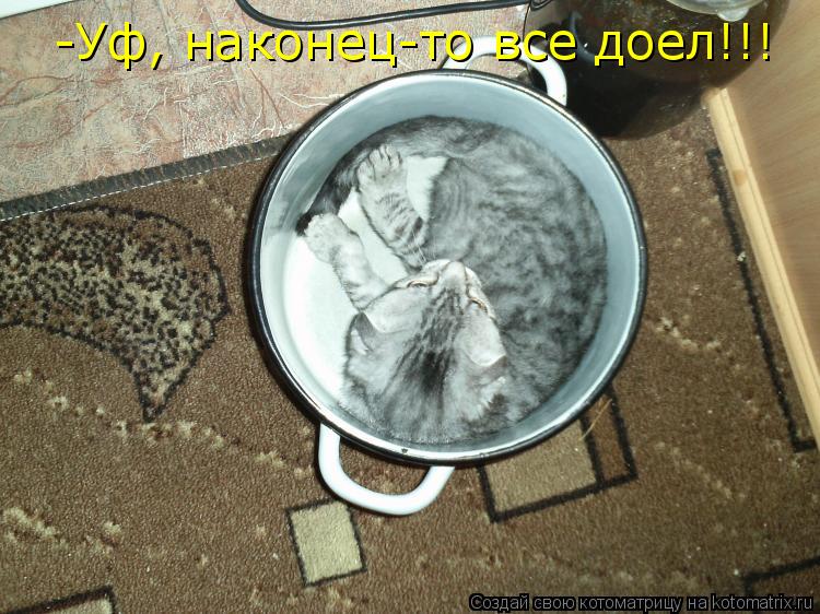-Уф, наконец-то все доел!!!... Котоматрица: -Уф, наконец-то все доел!!!