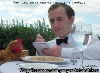 Мне пожалуйста, пшенку и попить чего нибудь... Котоматрица: Мне пожалуйста, пшенку и попить чего нибудь