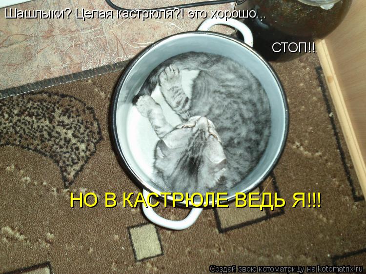 Шашлыки? Целая кастрюля?! это хорошо... СТОП!! НО В КАСТРЮЛЕ ВЕДЬ Я!!!... Котоматрица: Шашлыки? Целая кастрюля?! это хорошо... СТОП!! НО В КАСТРЮЛЕ ВЕДЬ Я!!!