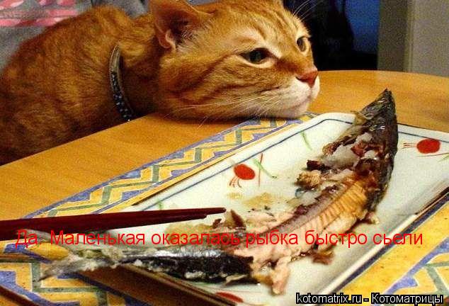 Да. Маленькая оказалась рыбка, Да. Маленькая оказалась рыбка быстро сьели... Котоматрица: Да. Маленькая оказалась рыбка, Да. Маленькая оказалась рыбка быстро сьели