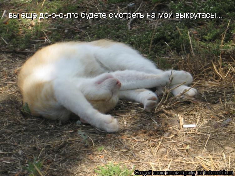 вы еще до-о-о-лго будете смотреть на мои выкрутасы...... Котоматрица: вы еще до-о-о-лго будете смотреть на мои выкрутасы...