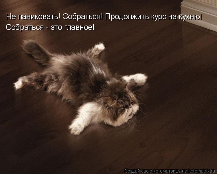Не паниковать! Собраться! Продолжить курс на кухню! Собраться - это главное!... Котоматрица: Не паниковать! Собраться! Продолжить курс на кухню! Собраться - это главное!