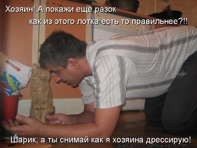 Хозяин! А покажи еще разок как из этого лотка есть то правильнее?!! Шарик, а ты снимай как я хозяина... Котоматрица: Хозяин! А покажи еще разок как из этого лотка есть то правильнее?!! Шарик, а ты снимай как я хозяина дрессирую!