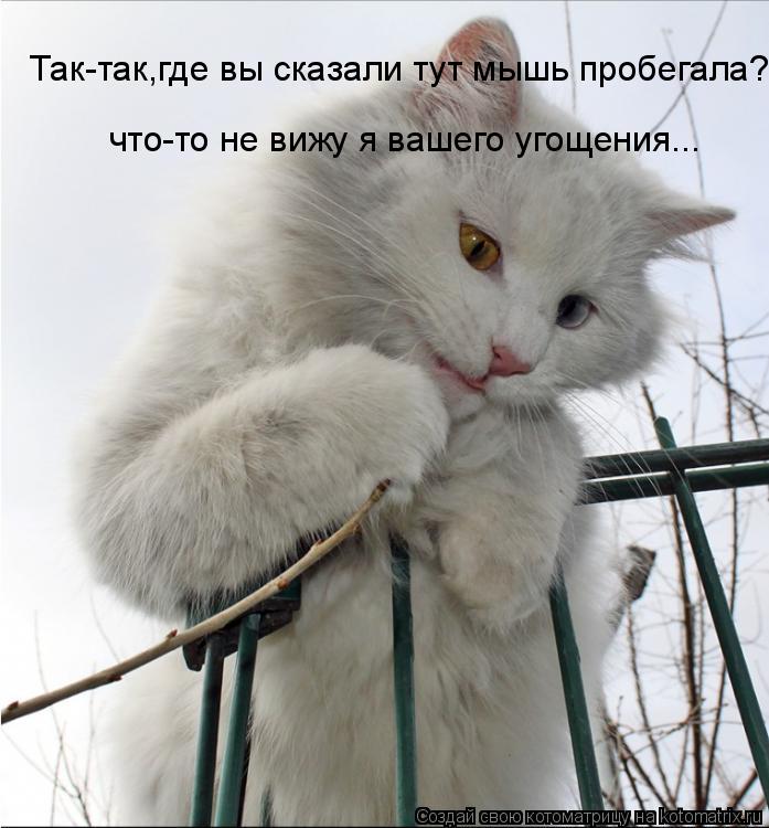 Так-так,где вы сказали тут мышь пробегала? что-то не вижу я вашего угощения...... Котоматрица: Так-так,где вы сказали тут мышь пробегала? что-то не вижу я вашего угощения...