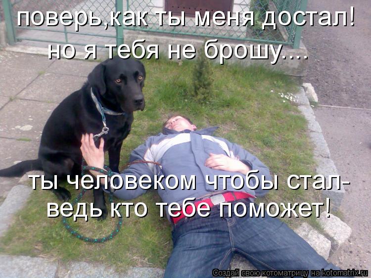 поверь,как ты меня достал! ведь кто тебе поможет! ты человеком чтобы стал- но я тебя не брошу....... Котоматрица: поверь,как ты меня достал! ведь кто тебе поможет! ты человеком чтобы стал- но я тебя не брошу....