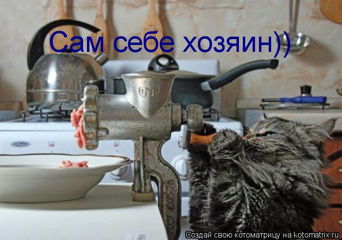 Сам себе хозяин))... Котоматрица: Сам себе хозяин))