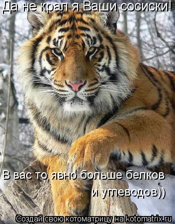 Да не крал я Ваши сосиски! В вас то явно больше белков и углеводов))... Котоматрица: Да не крал я Ваши сосиски! В вас то явно больше белков и углеводов))