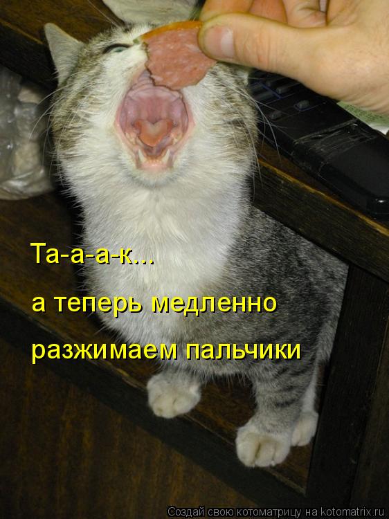 Та-а-а-к... а теперь медленно разжимаем пальчики... Котоматрица: Та-а-а-к... а теперь медленно разжимаем пальчики