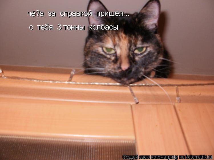 чё?а за справкой пришёл... с тебя 3 тонны колбасы... Котоматрица: чё?а за справкой пришёл... с тебя 3 тонны колбасы