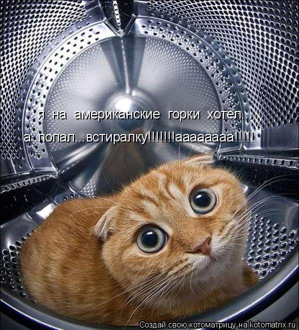 я на американские горки хотел... а попал...встиралку!!!!!!!аааааааа!!!!!... Котоматрица: я на американские горки хотел... а попал...встиралку!!!!!!!аааааааа!!!!!