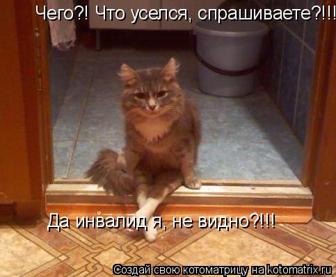 Чего?! Что уселся, спрашиваете?!!! Да инвалид я, не видно?!!!... Котоматрица: Чего?! Что уселся, спрашиваете?!!! Да инвалид я, не видно?!!!