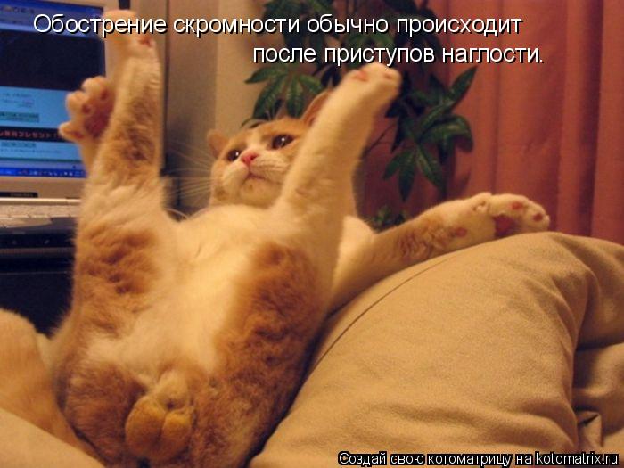 Обострение скромности обычно происходит после приступов наглости.... Котоматрица: Обострение скромности обычно происходит после приступов наглости.