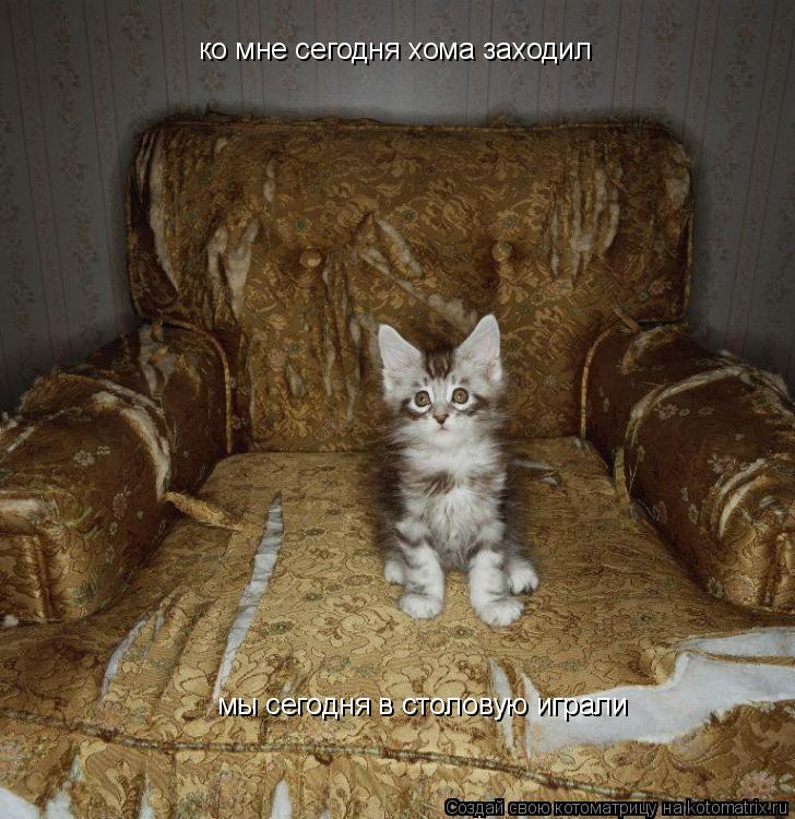 ко мне сегодня хома заходил мы сегодня в столовую играли... Котоматрица: ко мне сегодня хома заходил мы сегодня в столовую играли