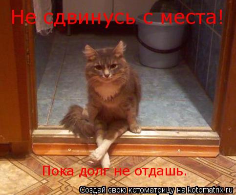 Не сдвинусь с места! Пока долг не отдашь.... Котоматрица: Не сдвинусь с места! Пока долг не отдашь.