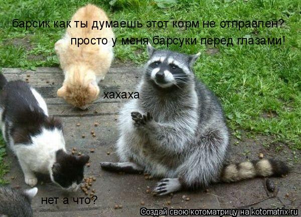 барсик как ты думаешь этот корм не отправлен? нет а что? просто у меня барсуки перед глазами! хахаха... Котоматрица: барсик как ты думаешь этот корм не отправлен? нет а что? просто у меня барсуки перед глазами! хахаха
