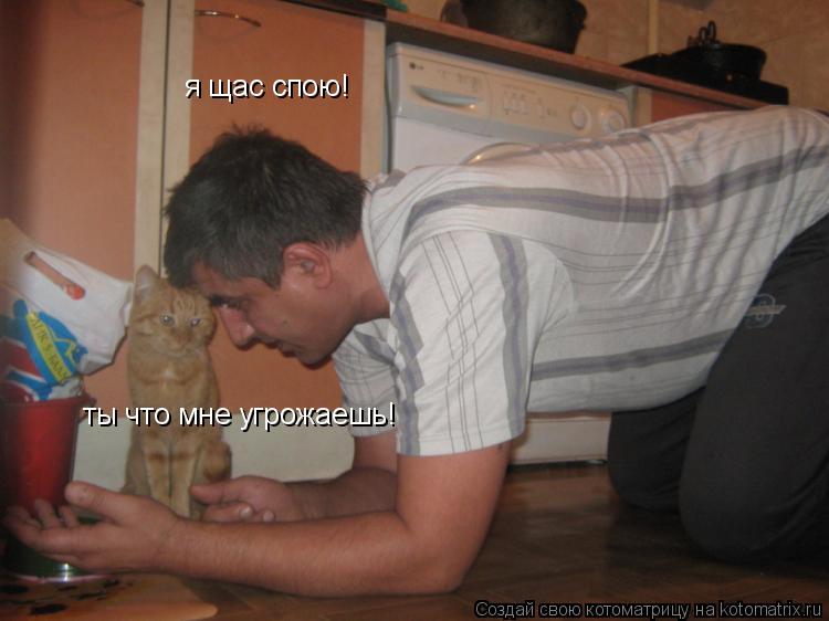 я щас спою! ты что мне угрожаешь!... Котоматрица: я щас спою! ты что мне угрожаешь!