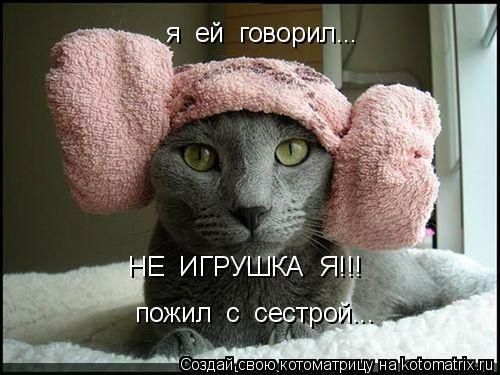 я ей говорил... НЕ ИГРУШКА Я!!! пожил с сестрой...... Котоматрица: я ей говорил... НЕ ИГРУШКА Я!!! пожил с сестрой...