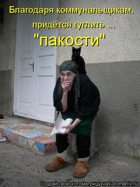 Благодаря коммунальщикам, придётся гуглить ... "пакости"... Котоматрица: Благодаря коммунальщикам, придётся гуглить ... "пакости"