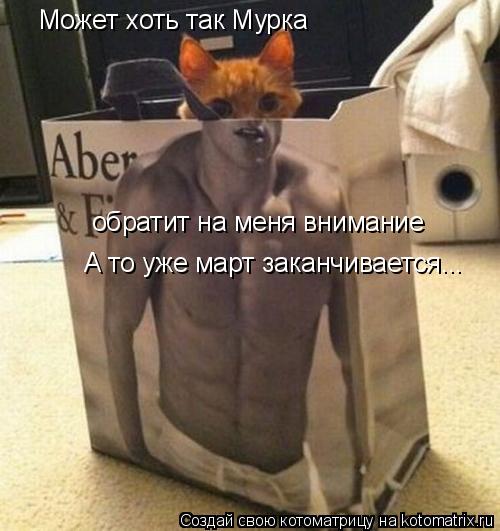 Может хоть так Мурка обратит на меня внимание А то уже март заканчивается...... Котоматрица: Может хоть так Мурка обратит на меня внимание А то уже март заканчивается...