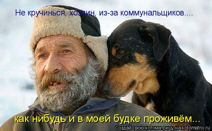 Не кручинься, хозяин, из-за коммунальщиков.... как нибудь и в моей будке проживём...... Котоматрица: Не кручинься, хозяин, из-за коммунальщиков.... как нибудь и в моей будке проживём...
