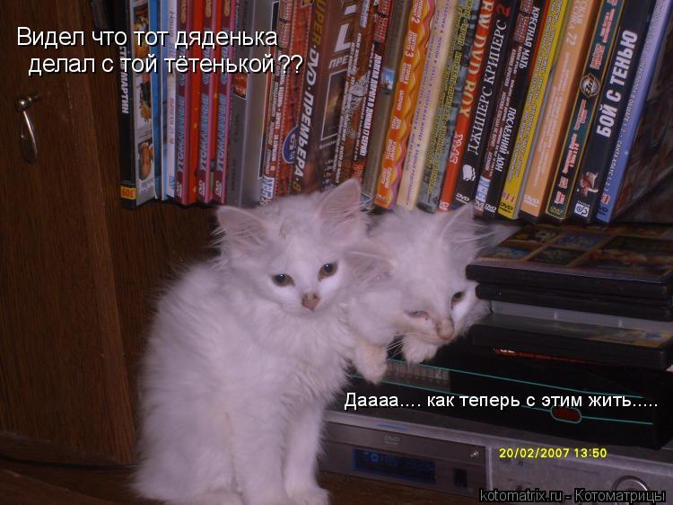 Видел что тот дяденька делал с той тётенькой ?? Даааа.... как теперь с этим жить........ Котоматрица: Видел что тот дяденька делал с той тётенькой ?? Даааа.... как теперь с этим жить.....