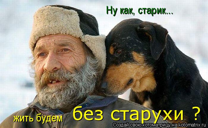 Ну как, старик... жить будем без старухи ?... Котоматрица: Ну как, старик... жить будем без старухи ?