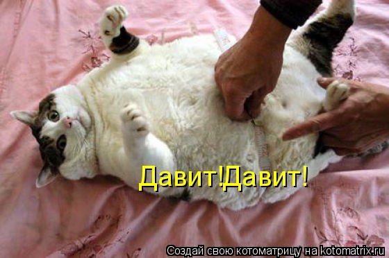 Давит!Давит!... Котоматрица: Давит!Давит!