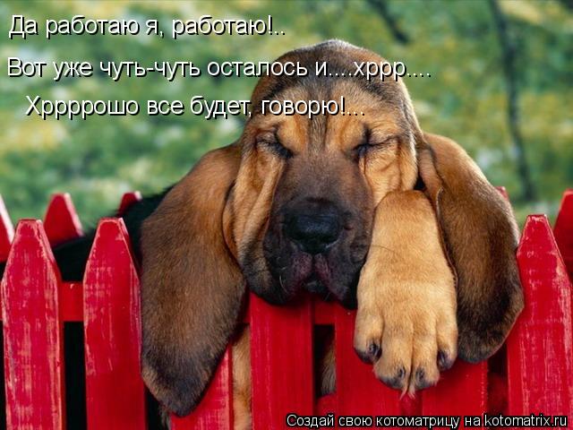 Да работаю я, работаю!.. Вот уже чуть-чуть осталось и....хррр.... Хррррошо все будет, говорю!...... Котоматрица: Да работаю я, работаю!.. Вот уже чуть-чуть осталось и....хррр.... Хррррошо все будет, говорю!...