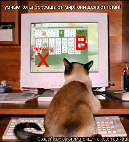 умные коты борбащают мир! они делают план! х человек в кот... Котоматрица: умные коты борбащают мир! они делают план! х человек в кот
