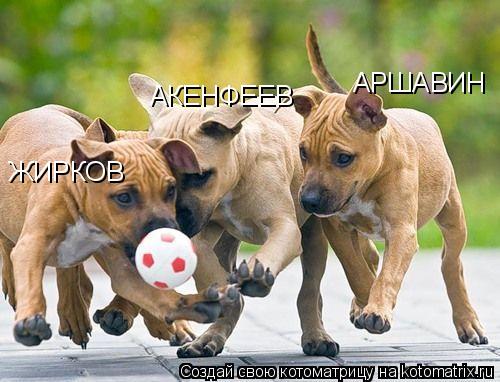 АРШАВИН АКЕНФЕЕВ ЖИРКОВ... Котоматрица: АРШАВИН АКЕНФЕЕВ ЖИРКОВ