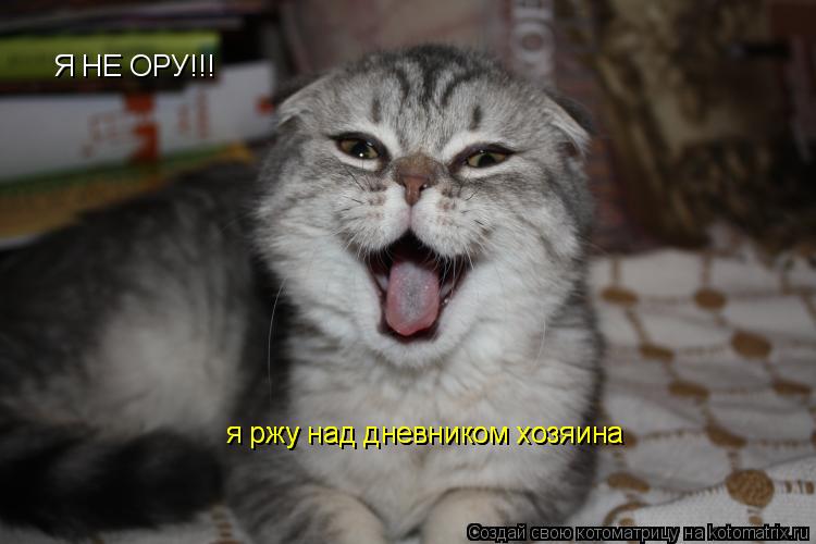 Я НЕ ОРУ!!! я ржу над дневником хозяина я ржу над дневником хозяина... Котоматрица: Я НЕ ОРУ!!! я ржу над дневником хозяина я ржу над дневником хозяина
