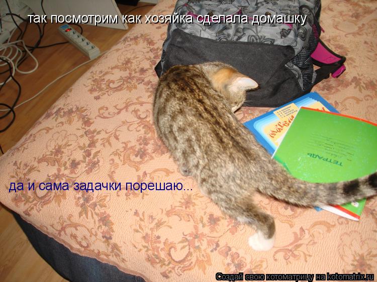 так посмотрим как хозяйка сделала домашку да и сама задачки порешаю...... Котоматрица: так посмотрим как хозяйка сделала домашку да и сама задачки порешаю...