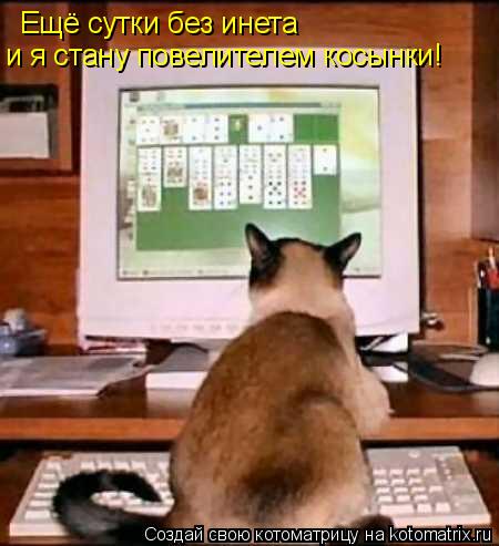 Ещё сутки без инета и я стану повелителем косынки!... Котоматрица: Ещё сутки без инета и я стану повелителем косынки!
