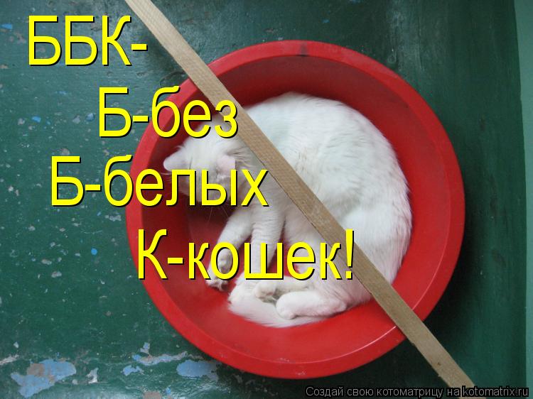ББК- Б-без Б-белых К-кошек!... Котоматрица: ББК- Б-без Б-белых К-кошек!