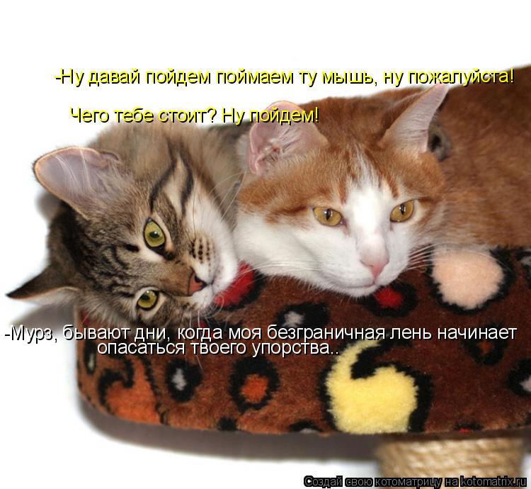 -Ну давай пойдем поймаем ту мышь, ну пожалуйста! -Мурз, бывают дни, когда моя безграничная лень начин... Котоматрица: -Ну давай пойдем поймаем ту мышь, ну пожалуйста! -Мурз, бывают дни, когда моя безграничная лень начинает опасаться твоего упорства.. Чего теб