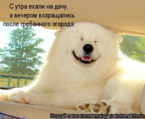 С утра ехали на дачу, а вечером возращались после гребанного огорода... Котоматрица: С утра ехали на дачу, а вечером возращались после гребанного огорода