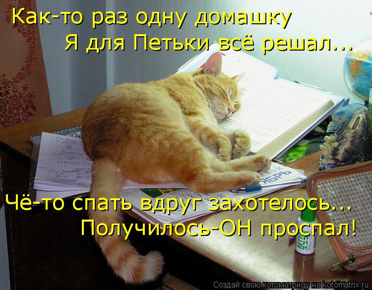 Как-то раз одну домашку Я для Петьки всё решал... Чё-то спать вдруг захотелось... Получилось-ОН просп... Котоматрица: Как-то раз одну домашку Я для Петьки всё решал... Чё-то спать вдруг захотелось... Получилось-ОН проспал!
