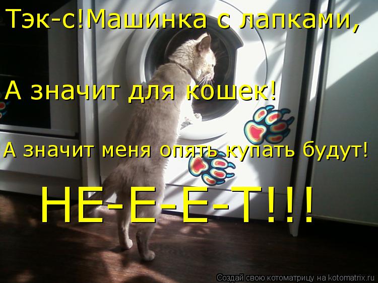 Тэк-с!Машинка с лапками, А значит для кошек! А значит меня опять купать будут! НЕ-Е-Е-Т!!!... Котоматрица: Тэк-с!Машинка с лапками, А значит для кошек! А значит меня опять купать будут! НЕ-Е-Е-Т!!!