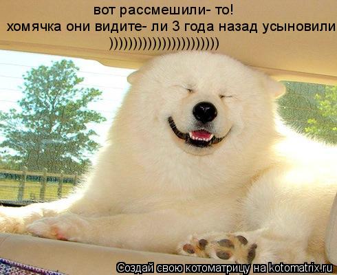 вот рассмешили- то! хомячка они видите- ли 3 года назад усыновили )))))))))))))))))))))))... Котоматрица: вот рассмешили- то! хомячка они видите- ли 3 года назад усыновили )))))))))))))))))))))))