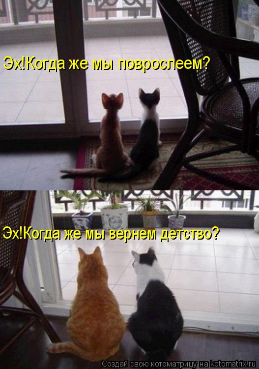 Эх!Когда же мы поврослеем? Эх!Когда же мы вернем детство?... Котоматрица: Эх!Когда же мы поврослеем? Эх!Когда же мы вернем детство?